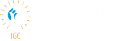 Indo Global Group of Colleges
